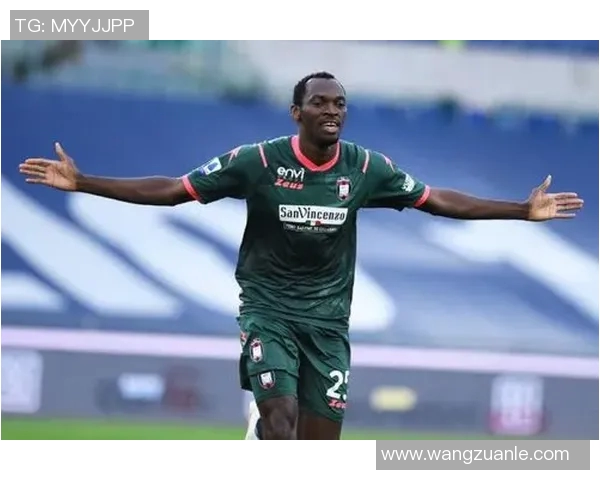 黄金射手与资本博弈解析 意甲进攻球员身价排行榜深度剖析