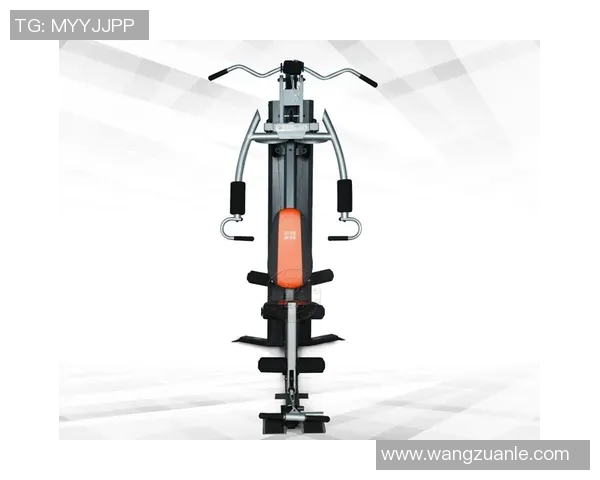 组合型健身器材品牌的比较与使用技巧