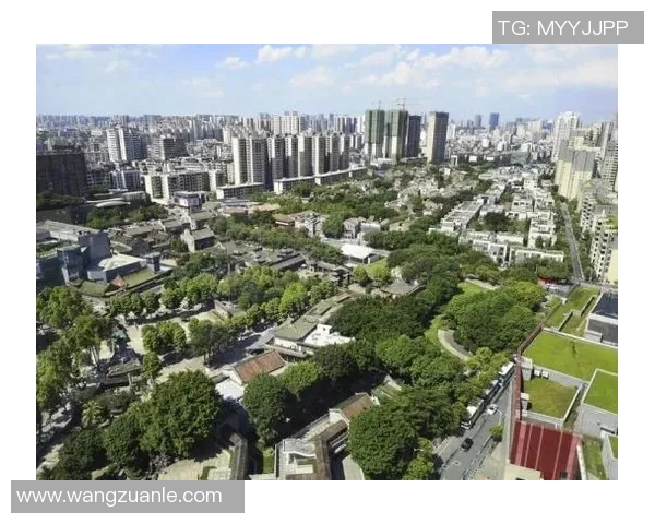 以赞助商为核心推动品牌价值提升的创新合作模式探讨