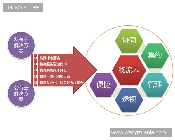 构建智慧物流生态系统推动全球供应链高效协同发展