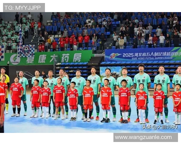 球迷文化的多元发展与社会影响探析：从热情到理性，体育精神的传承与创新