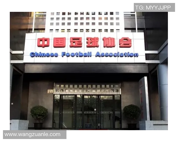 足协深化改革助推中国足球腾飞打造专业化发展新格局
