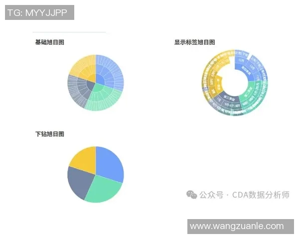 成都滑板队速度表现数据分析揭示训练效果与运动员潜力的关系